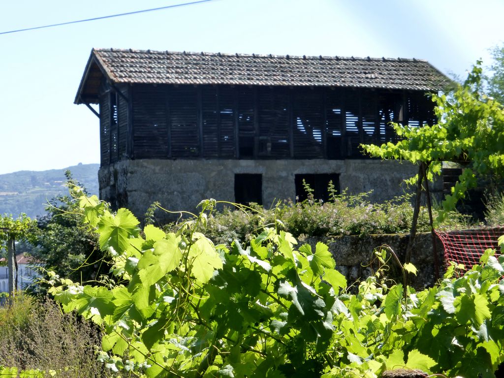 Farm